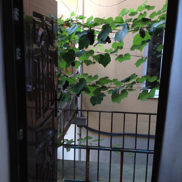 מוקצ'בה Apartment Downtown מראה חיצוני תמונה